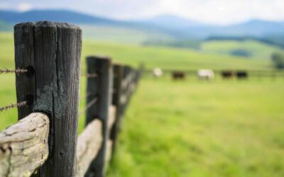 5 Essential Tips for Maintaining Your Farm Fence: Ensuring Longevity and Functionality