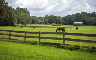 Choosing the Right Fence for Your Horse Property: A Guide for South Georgia, North Florida & SW Alabama